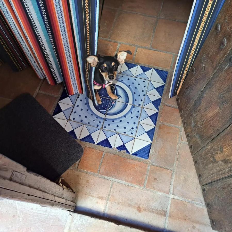 Can Lluna Tu Casa Zen Tarbena ภายนอก รูปภาพ